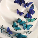 Beautiful Butteryfly Cake Sets