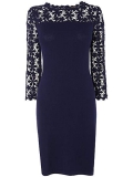House of Fraser - Phase Eight Suzy Lace Dress