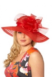 Prezzybox - Spiral Mesh Occasion Hat