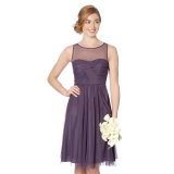 Debenhams - Debenhams Debut Mauve mesh prom dress