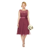 Debenhams - Debehams Debut Dark rose mesh corsage dress