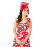 Debenhams Phase Eight Billie Fascinator