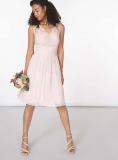 Dorothy Perkins - Showcase Blush Josie Prom Dress