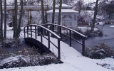 Winter Bridge