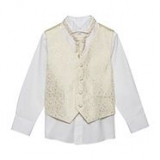 Debenhams - Bluezoo - Boy's gold waistcoat, shirt and cravat